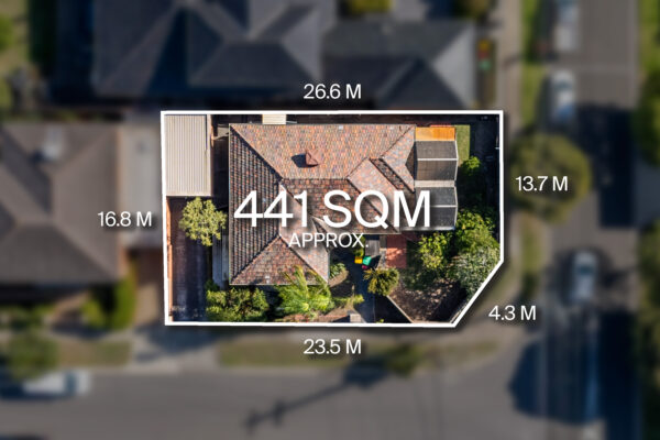 7CD69F68 B748 4388 B999 808BF95799CA DONCASTER 2025 05 12 143933 1 scaled