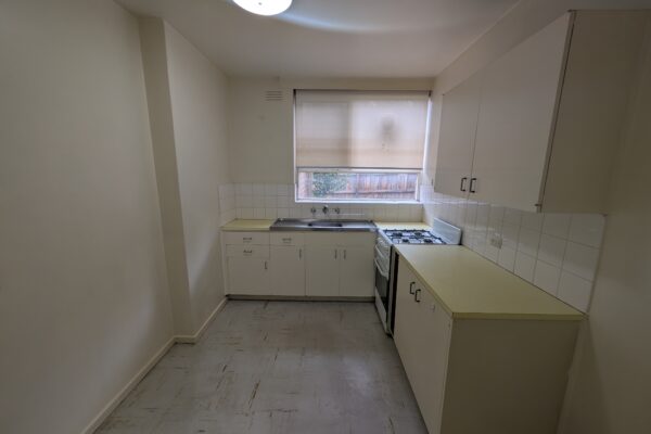 7EA3D0D9 1408 49ED BA7E F49545CDB47F HAWTHORN 2025 06 17 155646 1 scaled