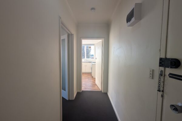 7CAC3F83 87C6 4AC3 87B6 C871DCB97283 HAWTHORN 2025 07 31 120833 2 scaled