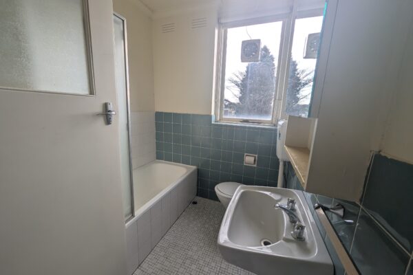 7CAC3F83 87C6 4AC3 87B6 C871DCB97283 HAWTHORN 2025 07 31 120833 4 scaled