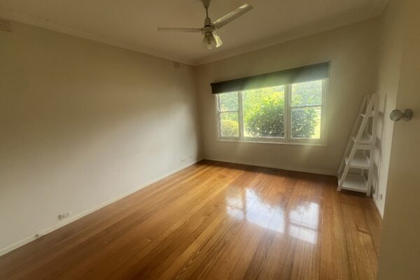 FB66B1B2 E45B 41AB 937C 20271ECD99C4 BULLEEN 2026 01 14 130213 2 scaled